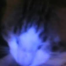Earrape Cover