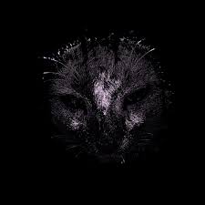 moikai torirola cover